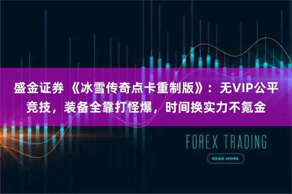 盛金证券 《冰雪传奇点卡重制版》：无VIP公平竞技，装备全靠打怪爆，时间换实力不氪金